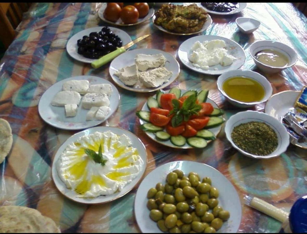 Bedouin Adventure & Tours 호텔 와디럼 외부 사진