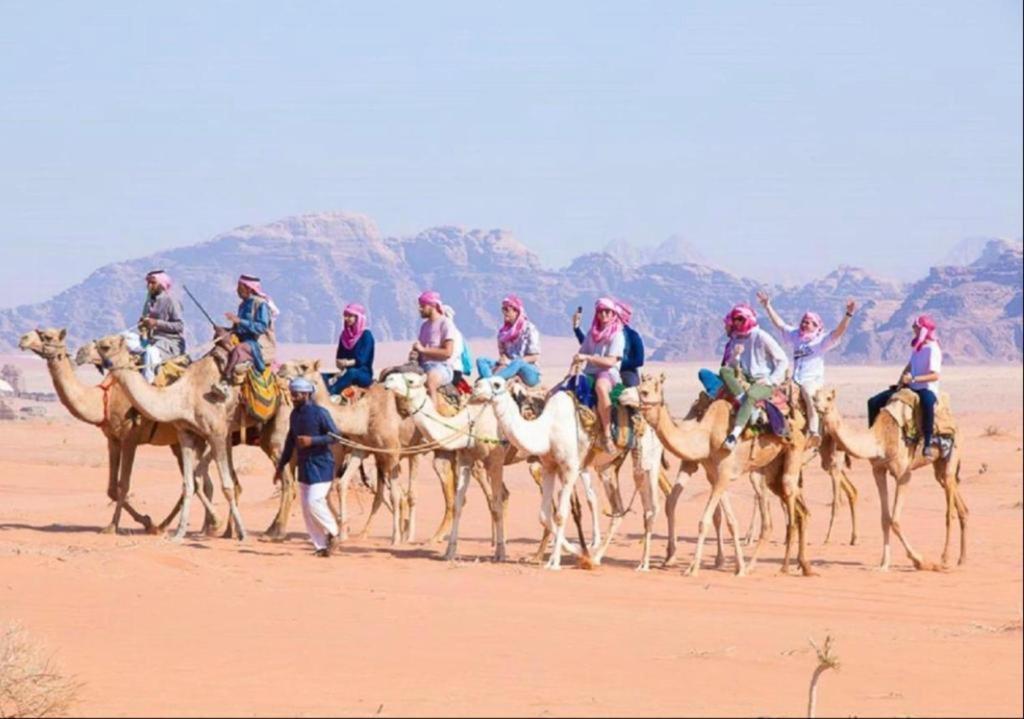 Bedouin Adventure & Tours 호텔 와디럼 외부 사진